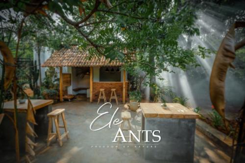 Udawalawa House | Ele Ants