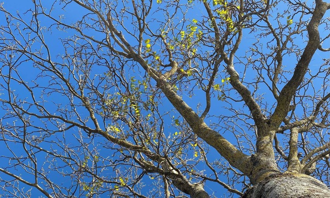 Lioni Apartment | Elegant apartment in Irpinia, overlooking Lioni's Piazza San Rocco.