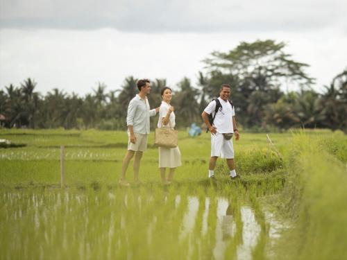 Kandalama House | Ema homestay