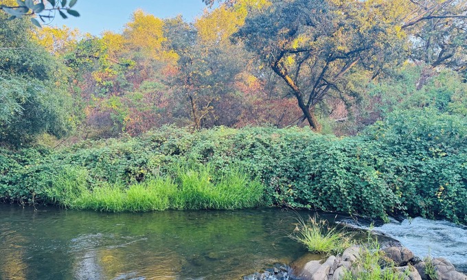 Auburn House | Enjoy the Fall colors, River views, Festivals & Hot Tub! On the Wine/Beer trail.