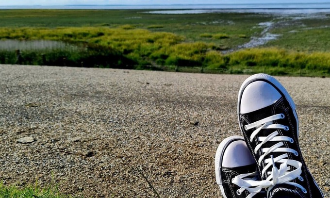 Holwerd House | Entire house with a big kitchen and 2 bedrooms "Blomsteech"