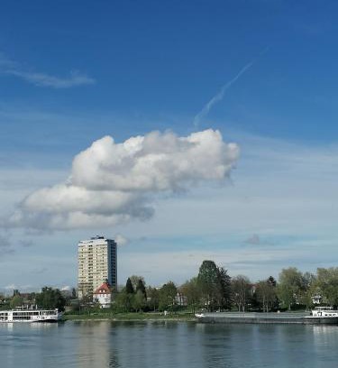 Kehl Apartment | Entre 2 Rives Strasbourg-Kehl