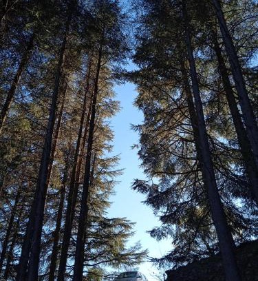 Le Vigan House | Entre les cèdres