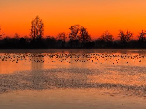 Vayres Apartment | Escale détente