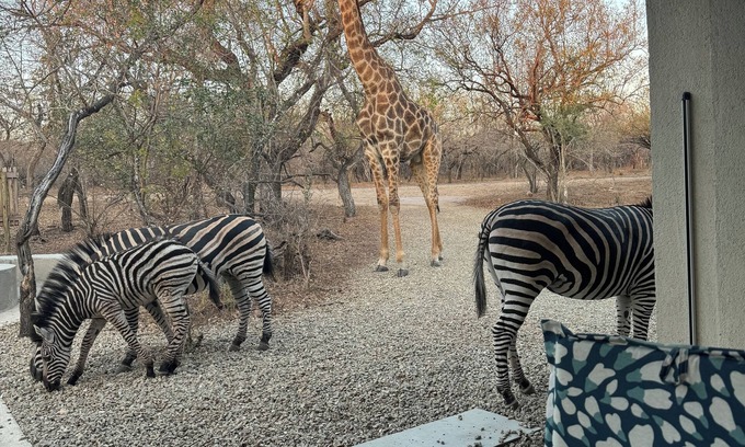 Marloth Park House | Escape to Chui House – A/C, Pool, WiFi & Wildlife Near Kruger National Park