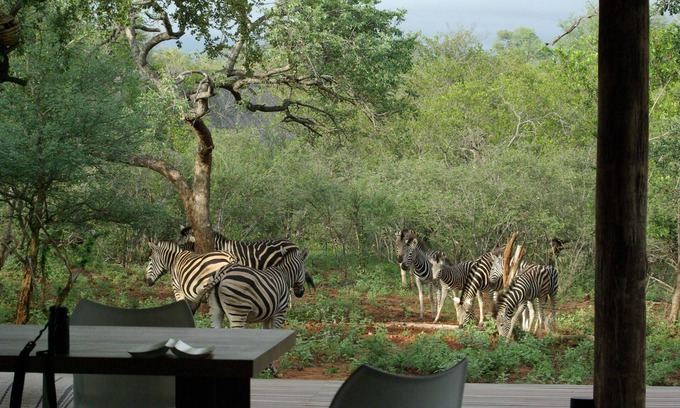 Hoedspruit House | Exclusive home in wildlife estate near to Kruger Park