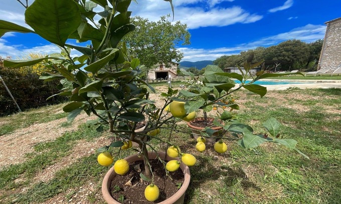 Poreta Other | EXCLUSIVE POOL-OPEN ALL YEAR/SHOPS, BARS 1 KM/WIFI/ROME 1 HR/SPOLETO 5 KMS