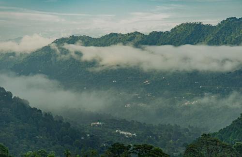 Dharampur Apartment | Exotic Stays I 1Bhk Apartment l Couple Friendly l Near Mall Road Kasauli