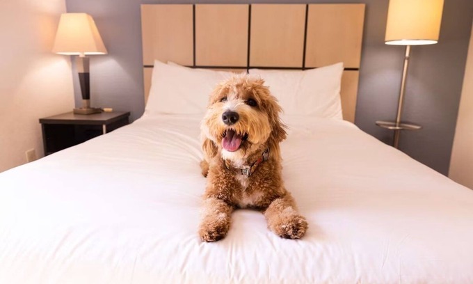 Braintree Hotel | Extended Stay | Spacious Haven w/ Kitchen | Near South Shore Plaza | 2 Units