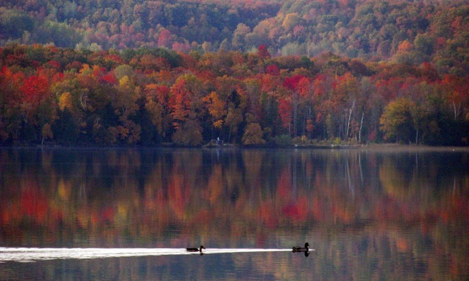 Alanson Cottage | Fall Foliage & Golf Getaway on Pickerel Lake – Cozy Lakeside Cottage Retreat