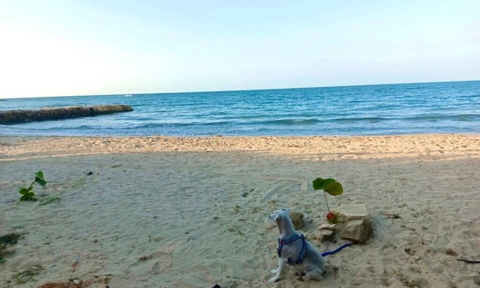 San Antero Apartment | Family cabin in coveñas 100 meters from the beach