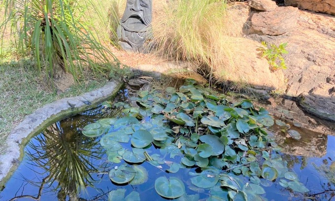 Bulawayo Apartment | Family Lodge in Natural African Bush - 2115