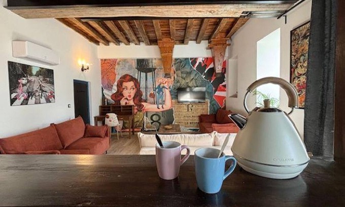 Montaigu-le-Blin Cottage | Family pop'art house, unique decor near Vichy