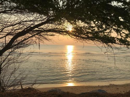 Ko Yao Villa | Fantastic pool villa