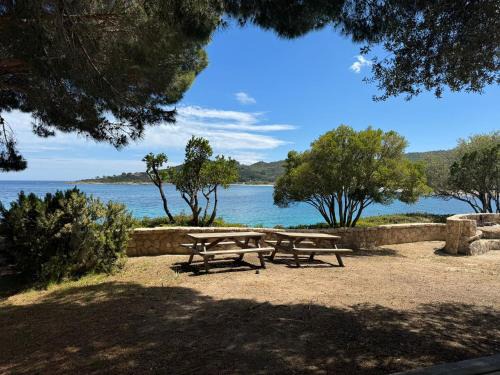 Favone Apartment | Faounzina Village