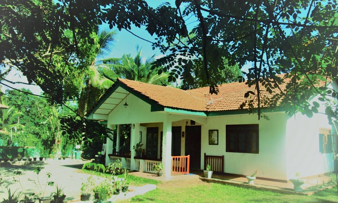 Unawatuna Hotel | Feel at home at this eco lodge among lush green woods with soothing massage