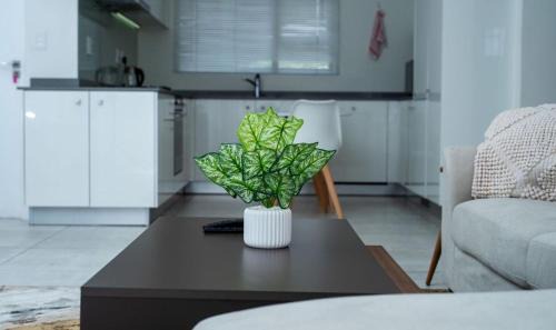 Greater Johannesburg Metropolitan Area Bed & Breakfast | Feelathome