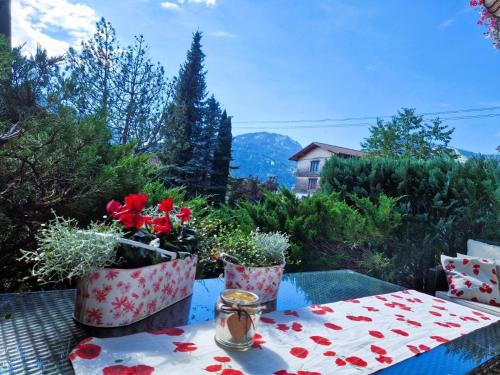 Oberdorf Apartment | Ferienwohnung Alpenherz