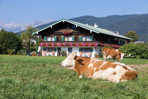 Oberschonau Apartment | Ferienwohnung Drachllehen