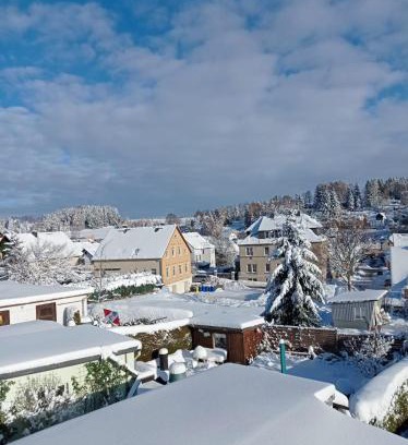 Geyer Apartment | Ferienwohnung Greifenbach, Gartennutzung, Haustiere willkommen