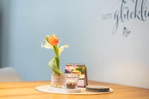 Edertal Apartment | Ferienwohnung Klein und Fein