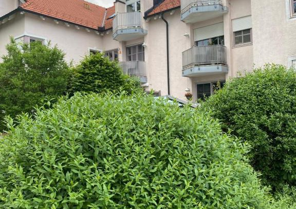 Traunstein Apartment | Ferienwohnung Lichtgalerie