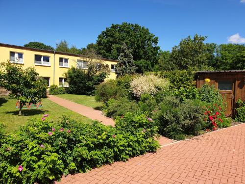 Samtens Apartment | Ferienwohnung Rügen in Samtens