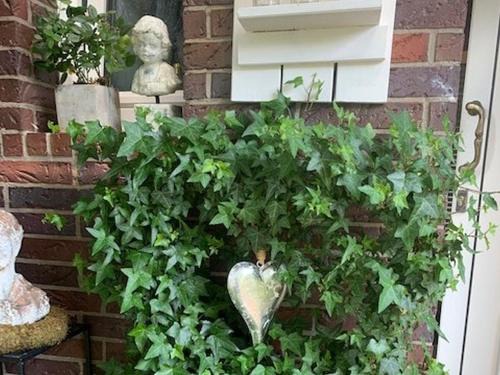 Moehnesee Apartment | Ferienwohnungen Lemma