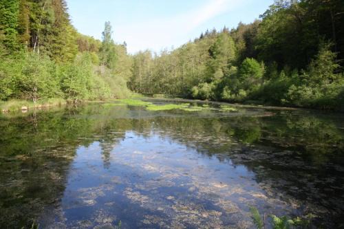 Schontal Apartment | Fewo Fels- und Seenland