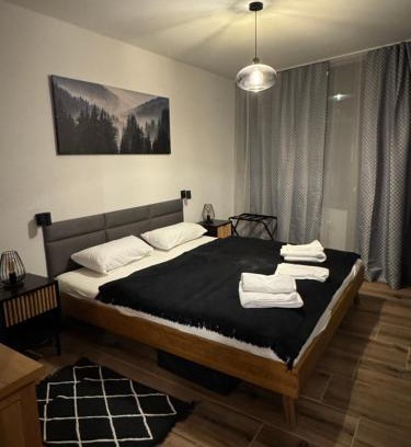 Schluchsee Apartment | FeWo im Kurhotel in Schluchsee Apartment Black Forest mit Balkon Indoorpool Tiefgaragenstellplatz