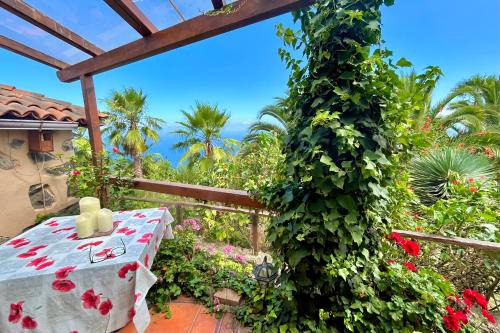 Icod de los Vinos Apartment | Finca Tenerife - Cozy Studio mit Traumblick & tropischem Garten