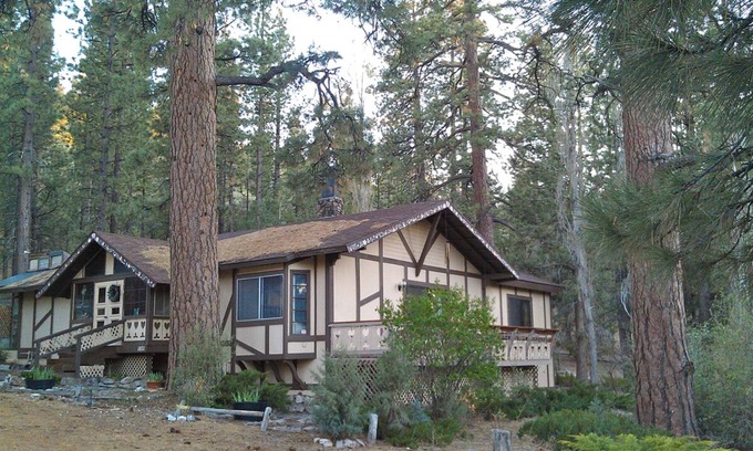 Woodlands House | FIND TRUE SECLUSION IN OUR PEACEFUL CHALET. 5 ACRES, TRAILS, TREES & SPA