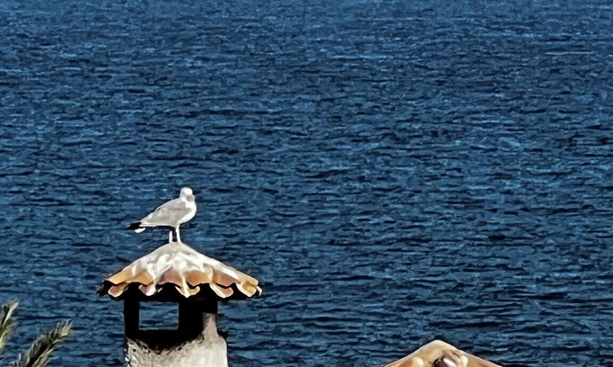 Santa Pola House | First line of the sea