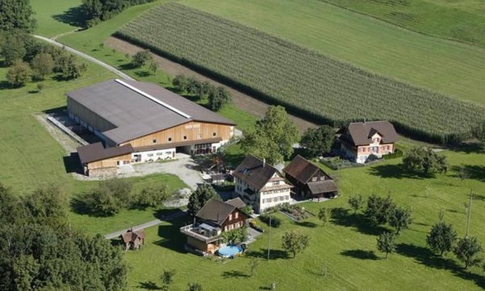 Hohenrain Other | Flat "Fohrenhof" on the farm