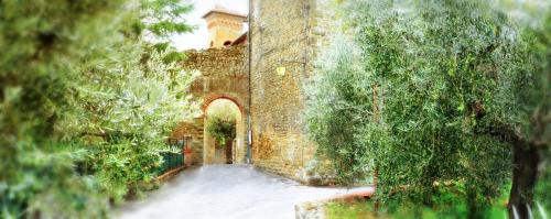 Oliveto Bed & Breakfast | Fondaco del Moro