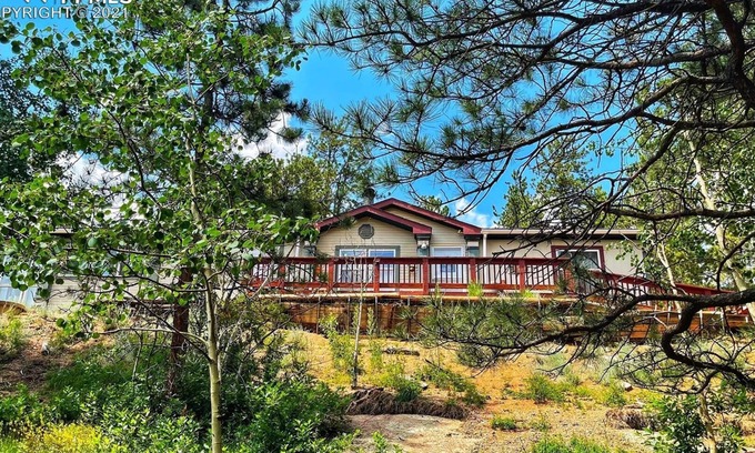 Divide Cabin | Forest cabin on 4 acres, Newly renovated, Quiet and secluded.