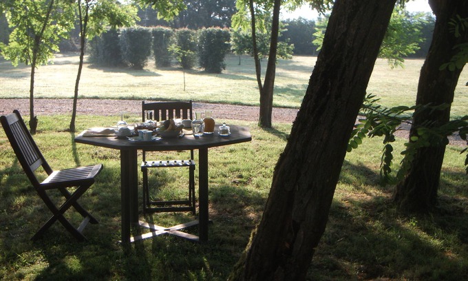 Coufouleux House | Former winegrower's farm with swimming pool and 6000 m2 of land.