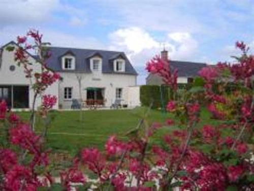 La Chapelle-Saint-Martin-en-Plaine House | Maison de campagne avec piscine et animaux admis, proche des châteaux de la Loire - FR-1-491-413