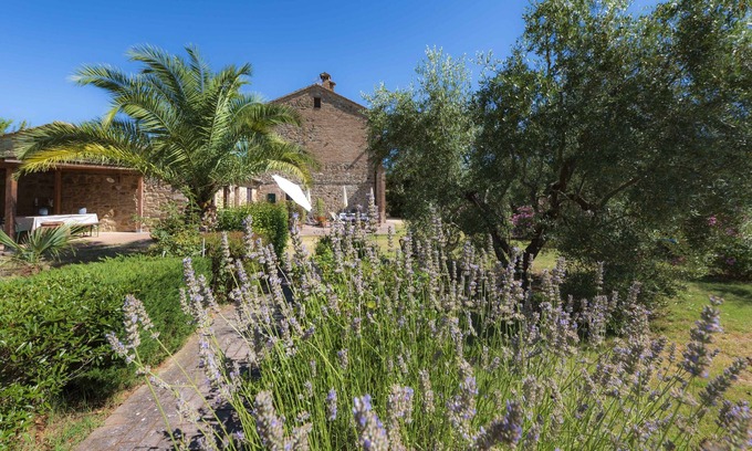 Radicondoli Other | FRANTOIO -IL VECCHIO MULINO TOSCANA