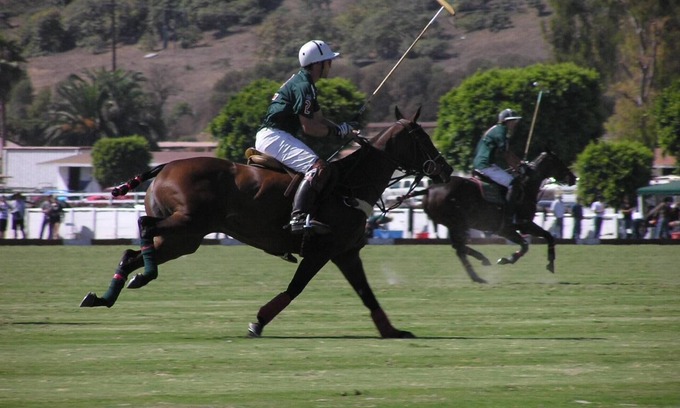 Toro Canyon Condo | Front Row Seat On A World Class Polo Field!