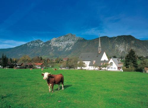 Bayerisch Gmain Apartment | Gästehaus Färbinger