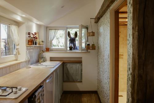 Les Hays Apartment | Gîte à la ferme - Animaux et séjour ressourçant