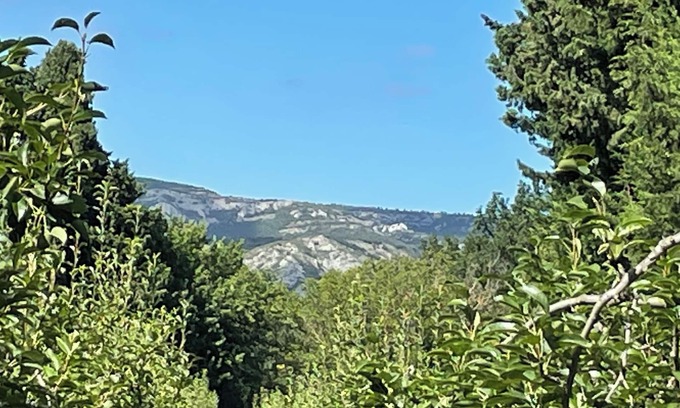 Senas House | Gîte 1&2 adjoining Mas Simone & Dédé between Alpilles and Lubéron