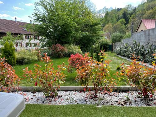 Soultzeren Apartment | Gîte au bord d’une rivière !