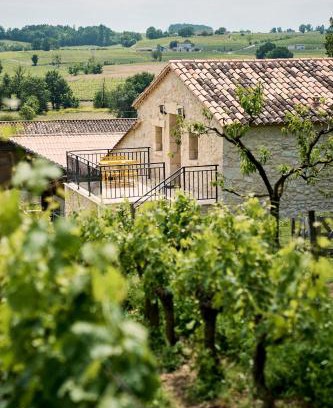 Montagne Apartment | Gîte au cœur des vignes