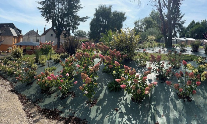 Vivoin Villa | Gîte Au Petit Vivoin