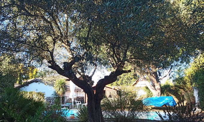 Pontenx-les-Forges Villa | Gîte de Grande Capacité Avec Piscine et Parking