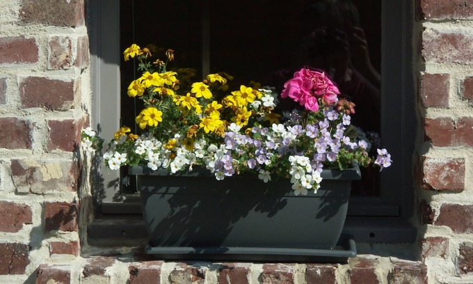 Arques-la-Bataille Cottage | Gîte de l'Antre'pot near Dieppe for 2 to 3 people