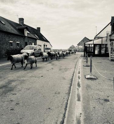 Pontorson House | Gîte La Mouette de 4 personnes