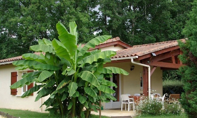 Savignac-de-Miremont House | GÎTE LE HIBOU